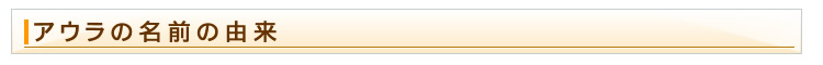 アウラの名前の由来